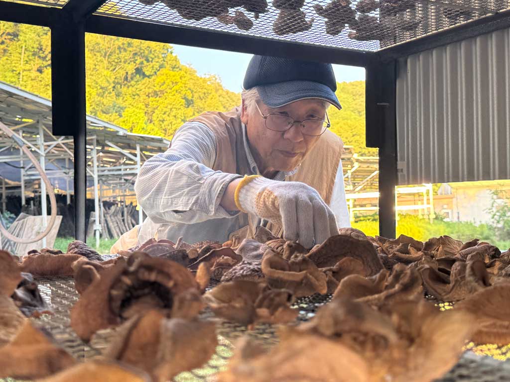 炭火乾燥作業中の職人